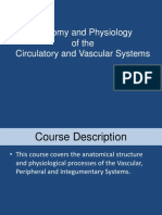 Anatomy and Physiology of The Circulatory and Vascular Systems