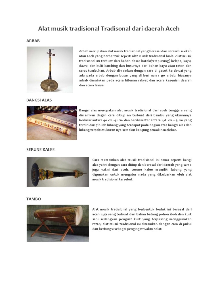 Alat Musik Tradisional Tradisonal Dari Daerah Aceh-Papua | PDF