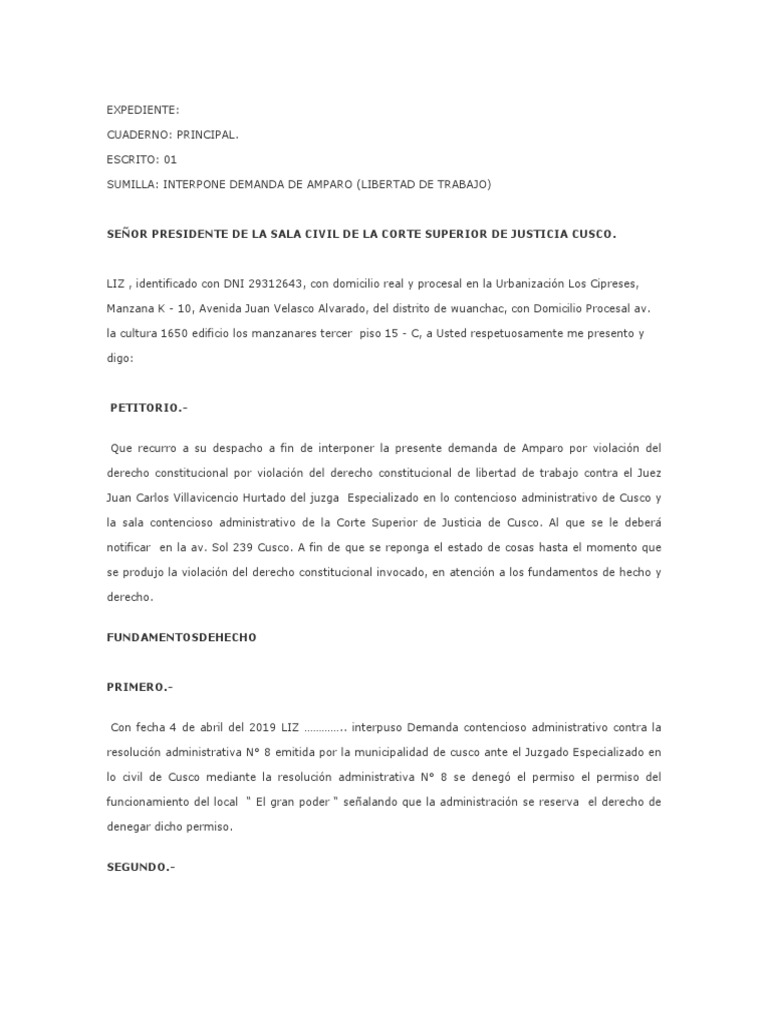 Modelo de Demanda de Accion de Amparo | PDF | Demanda judicial | Caso ...