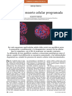 Apoptosis.pdf