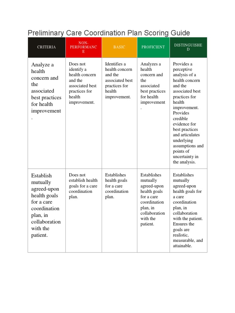 Care Coordination Plan Guide | PDF | Health Care | Cognition