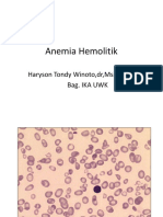 kuliah-anemia-hemolitikhandout.pdf