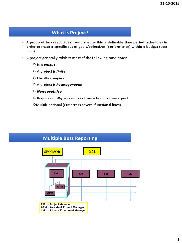 Understanding Project Management Basics | PDF | Net Present Value ...