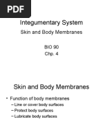 Integumentary System: Skin and Body Membranes