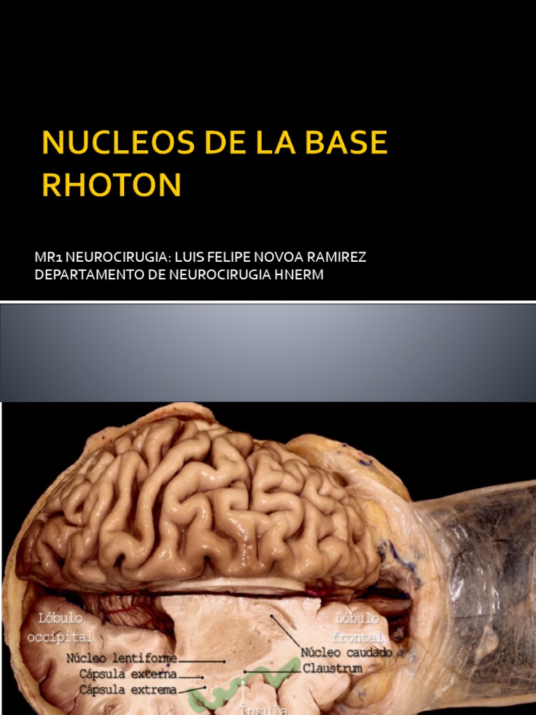 Nucleos de La Base | PDF