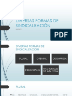 Diversas Formas de Sindicalización