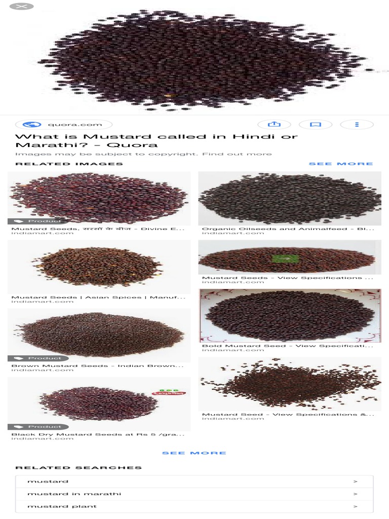 What Is Mustard Called in Hindi or Marathi? Quora See Mohri Seeds