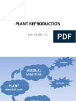 Plant Reproduction: Mr. Ferry, S.T