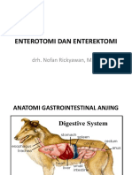 Enterotomi Dan Enterektomi