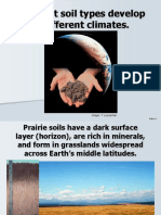 Different Soil Types Develop in Different Climates.: Image: T. Loynachan