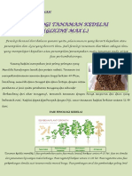 PAMFLET