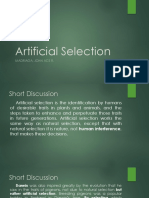 Articial Selection