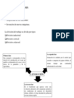 características y evolución.pptx