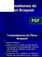 Traumatismos Do Plexo Braquial