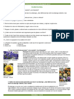 Floricultura.pdf