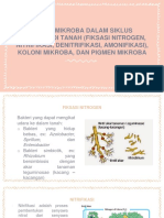 Peran Mikroba Dalam Siklus Nitrogen