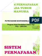 Sistem Pernafasan.pdf