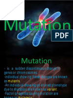 Project On Mutation Class 12