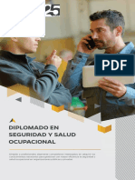 Dip Seguridad y Salud Ocupacional 20192 PDF