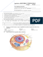 Evaluación diagnóstica anatomía fisiología célula organelos