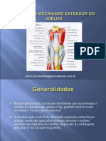 Lesões Do Mecanismo Extensor Do Joelho