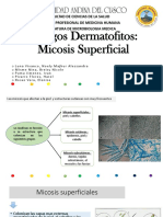 PARTE 1 Hongos Dermatofitos Micosis Superficial