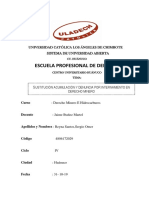 Sustitución Acumulación y Denuncias Por Internamiento en Derecho Minero.