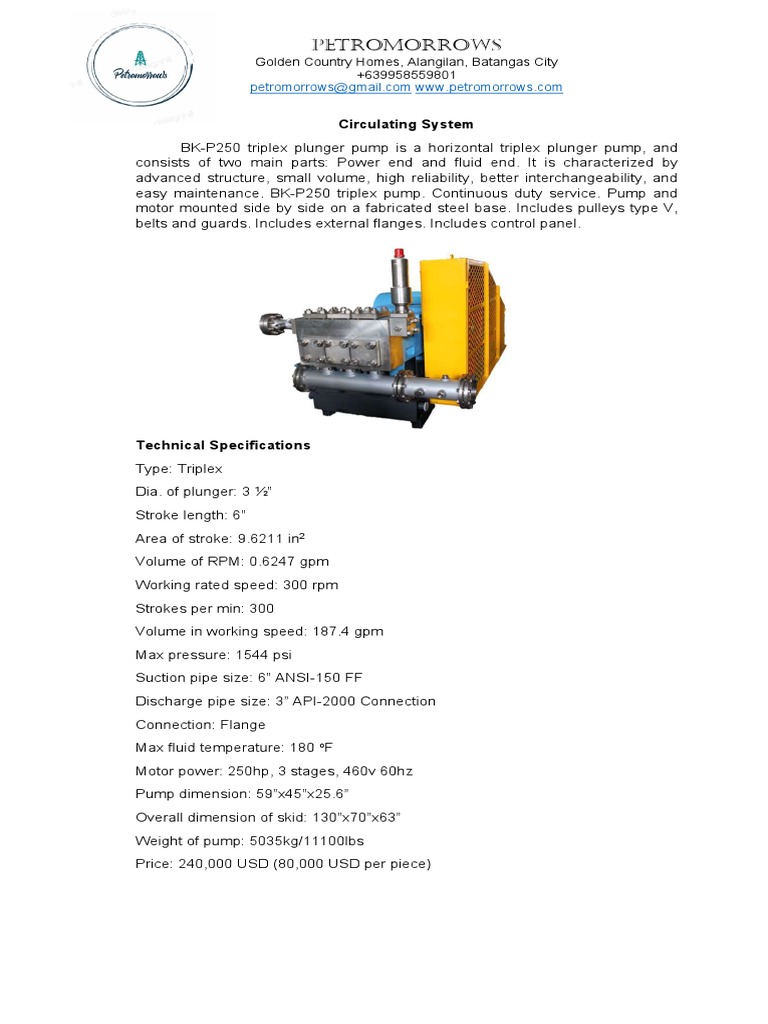 BK-P250 Triplex Plunger Pump Specs | PDF | Gas Technologies | Pump