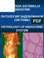 Patologia Endocrina