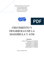 Crecimiento de La Mandibula