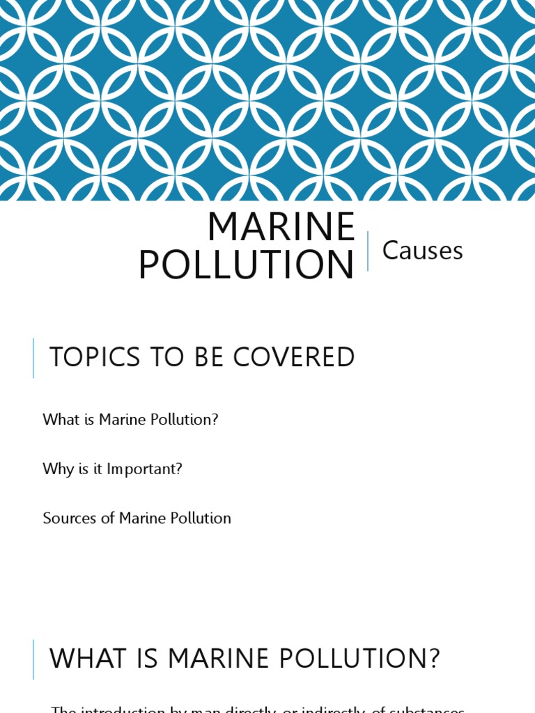 Understanding Marine Pollution Sources | PDF | Sea | Environmental Issues