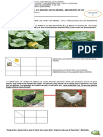 Evaluacion Segunda Ley de Mendel Nro 2