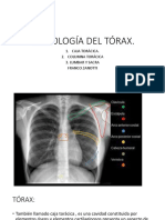 Integracion Clase Osteología Del Tórax