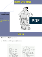 Do-In Triplo Aquecedor Fígado Vesícula Biliar Vaso Governador - Carlos Bueno PDF