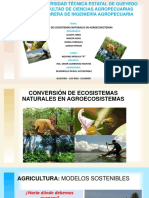 Conversión de Ecosistemas Naturales en Agroecosistemas