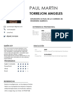 Curriculum Vitae