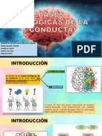 Bases Biologicas de La Conducta PDF