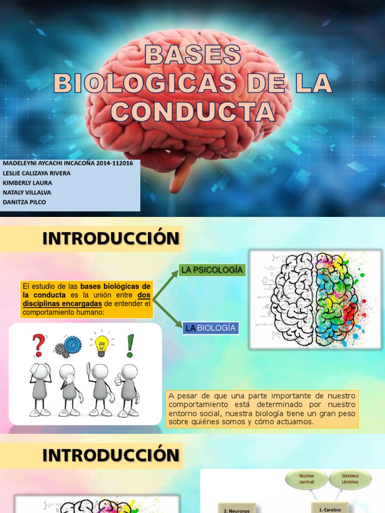 Bases Biologicas De La Conducta Humana 2 Neurona
