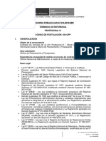 Profesional Iv PDF