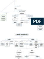 Mapas Conceptuales Circulación