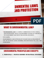 Environmental Laws and Protection