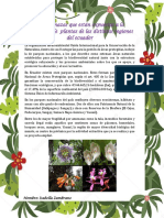 Las Amenazas Que Están Expuestas a La Diversidad de Plantas de Las Distintas Regiones Del Ecuador