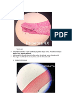 Tugas Histologis