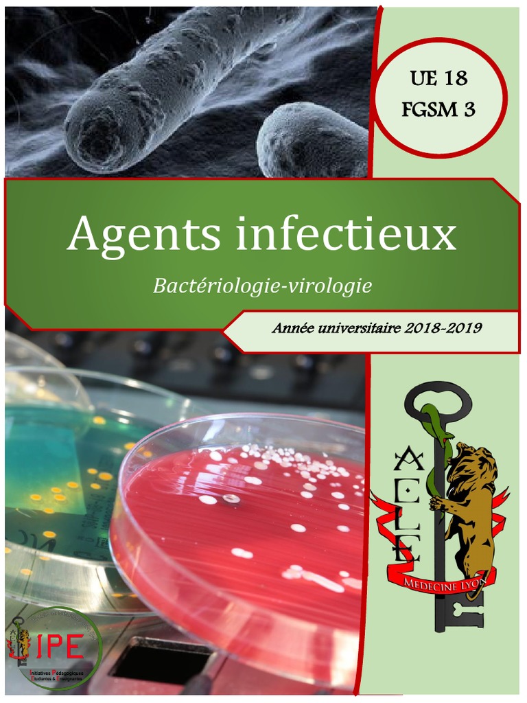 Poly Infecto Pdf Cytoplasme Bacterie