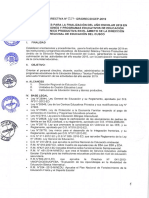 Directiva Finalizacion Del Año Escolar