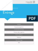 Modulo Teorico ENTREGA