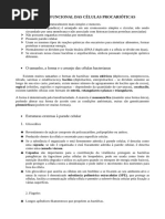 Células procarióticas