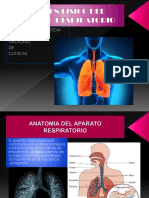 Examen Físico Del AP.respiratorio