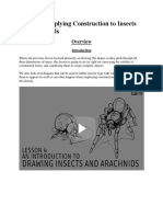 Lesson 4: Applying Construction To Insects and Arachnids