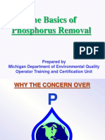 The Basics of Phosphorus Removal